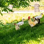 Domaene Groschwitz Apartman Rudolstadt