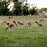 Domaene Groschwitz Apartman