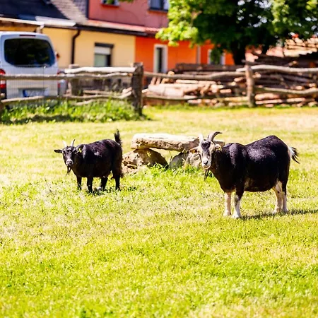 Διαμέρισμα Domaene Groschwitz *