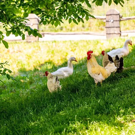 Domaene Groschwitz Apartmán Rudolstadt