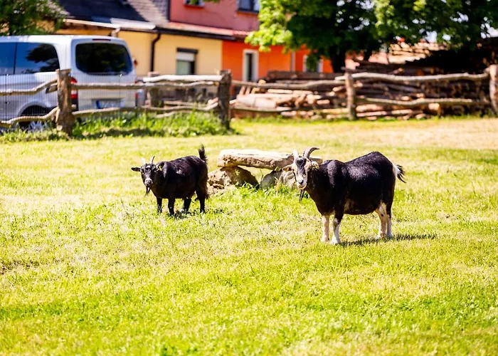 Daire Domaene Groschwitz *