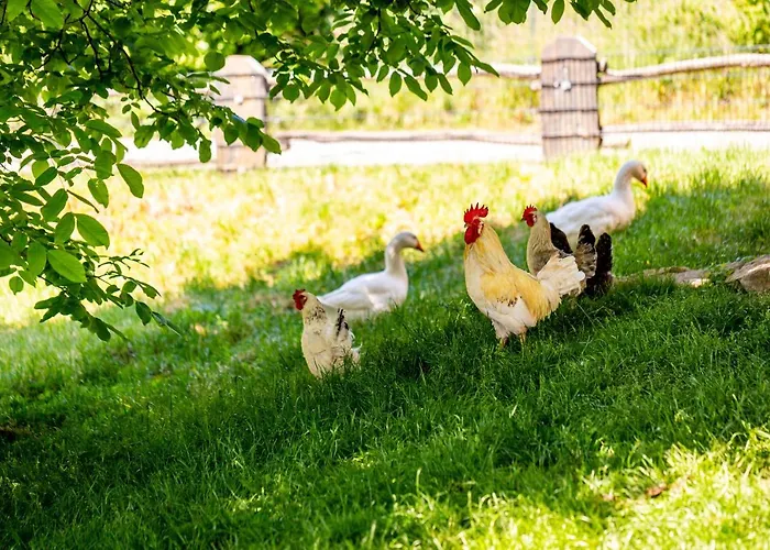 Domaene Groschwitz Appartement Rudolstadt