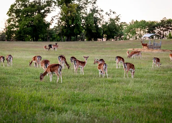 Domaene Groschwitz Appartement